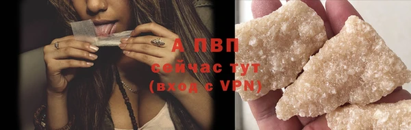 стафф Медвежьегорск