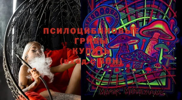 мяу мяу мука Михайлов