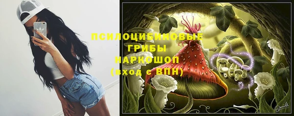 стафф Медвежьегорск