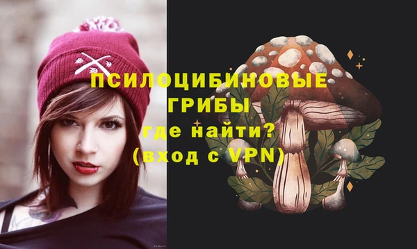 мяу мяу мука Михайлов