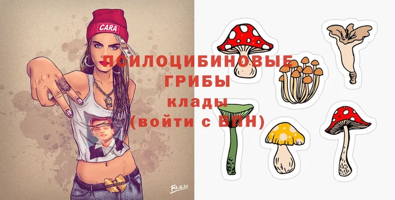 Псилоцибиновые грибы MAGIC MUSHROOMS  где можно купить   Нерчинск 